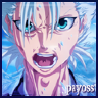 Payoss