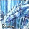 Macer