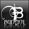 Budziol
