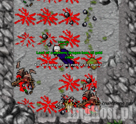67725d863e.png